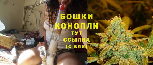 хмурый Козельск