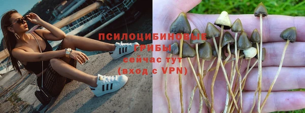 винт Козловка